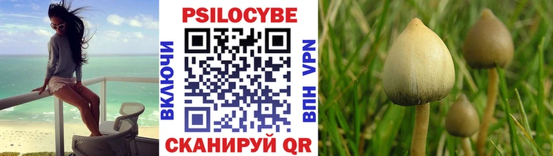 Галлюциногенные грибы прущие грибы  Вольск 